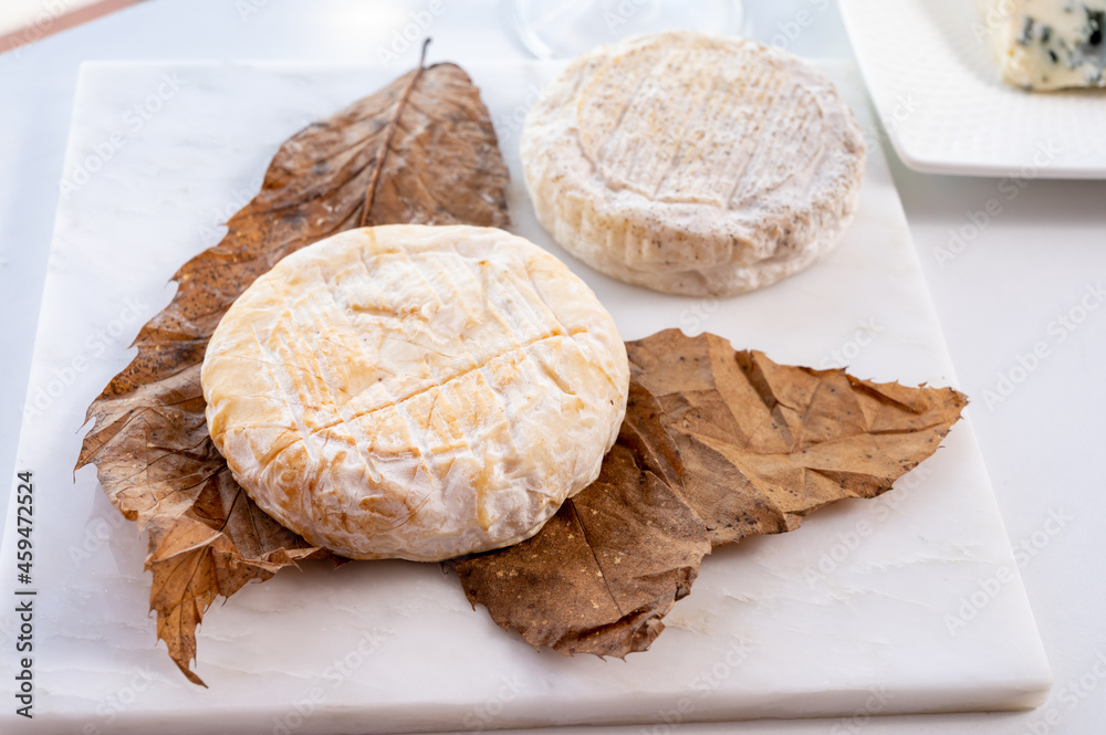 Cheese collection, semi-hard French blue cheese roquefort from Roquefort-sur-Soulzon, France served with sweet cold white french wine Cheese collection, semi-hard French blue cheese roquefort from Roquefort-sur-Soulzon, France served with sweet cold white french wine