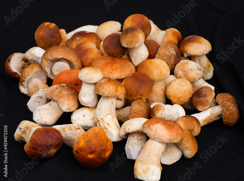Heap of cep mushrooms on black background