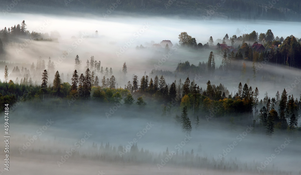 Jesień, mglisty krajobraz - obrazy, fototapety, plakaty 