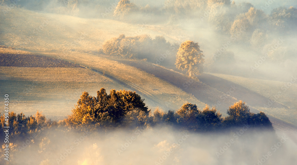 Obraz na płótnie Jesień, mglisty krajobraz w salonie
