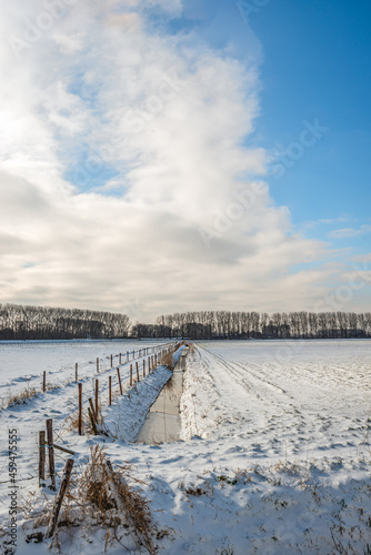 Fototapeta Naklejka Na Ścianę i Meble -  Dutch winter landscape with ditch and fences. The water in the ditch is partially frozen. The photo was taken in the Dutch province of North Brabant near the small village of Drimmelen.