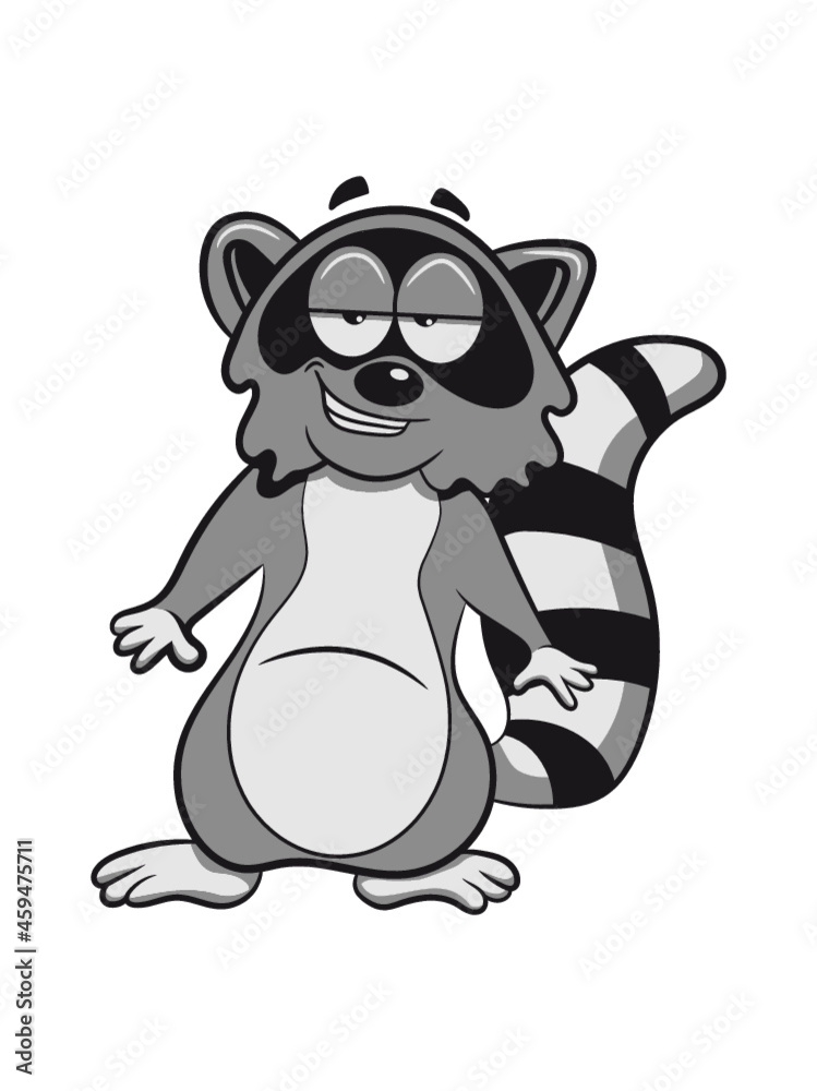 Fototapeta premium Waschbär grinsen lächeln