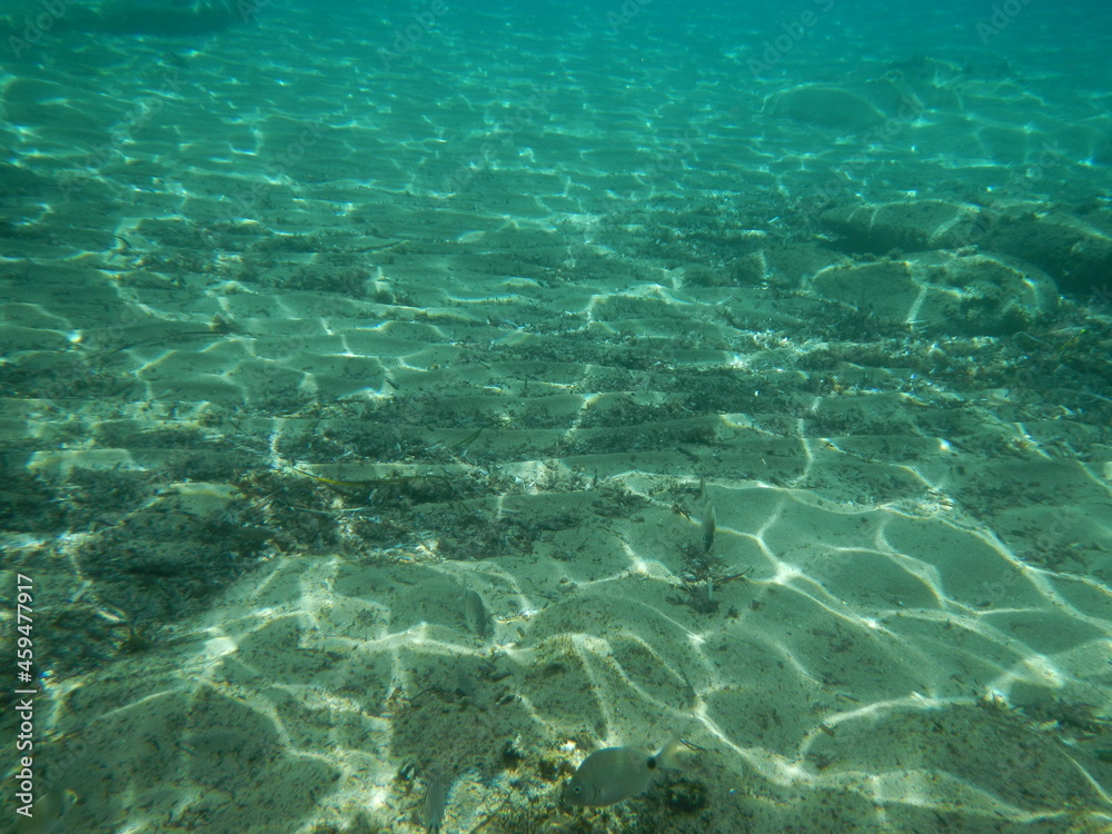 Obraz premium Die Unterwasserwelt bei Özdere, Türkei