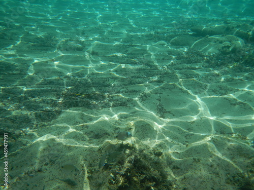 Die Unterwasserwelt bei Özdere, Türkei