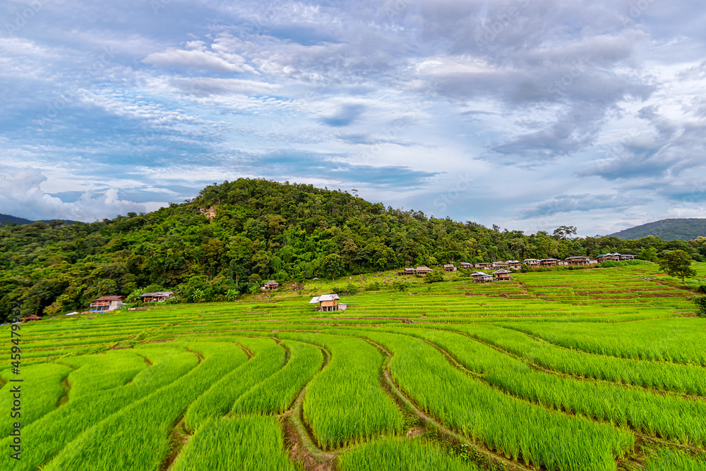 Scenery of the terraced rice fields at Ban Pa Pong Piang in Chiang Mai, Thailand.
