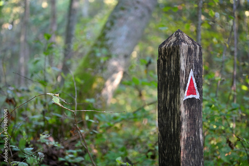 Color arrow, direction sign on the trail path © Flavijus Piliponis