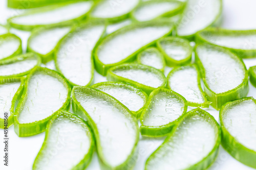 Aloe Vera slice top view on white background.