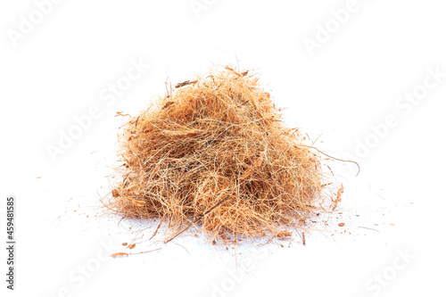 Coconut fiber texture on a white background.