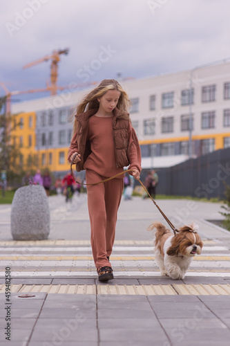 A cute girl crosses the road on a pedestrian crossing with a dog on a leash. The teenager observes the rules. The child crosses the road. Traffic safety.