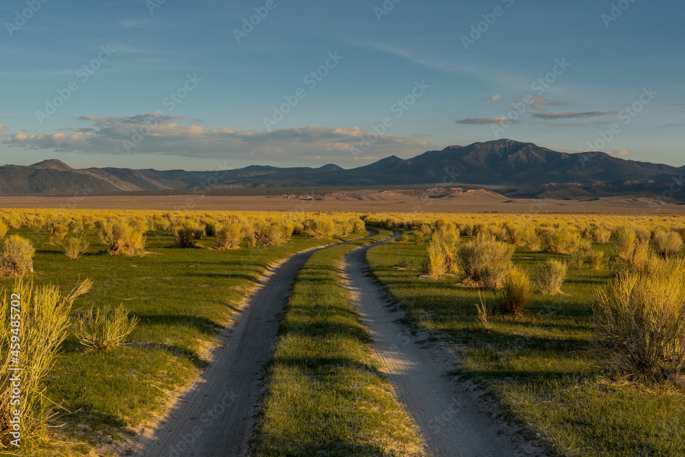 Dirt road near Mono Lake, California, USA, in the early morning, with mountains in the background and large blue clopy-space Dirt road near Mono Lake, California, USA, in the early morning, with mountains in the background and large blue clopy-space