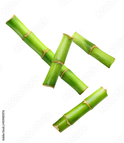 Branches of bamboo set isolated on white background