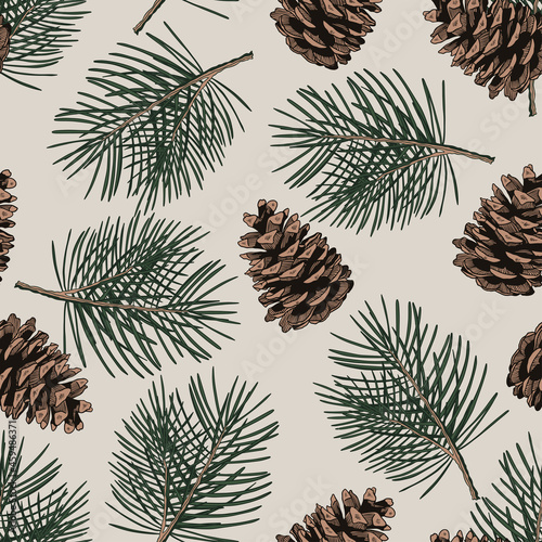 Seamless pattern with pine tree branches and cones. Hand drawn vector illustration