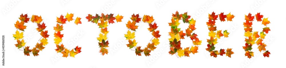 October lettering text from of colorful autumnal maple leaves on white background. Top view, flat lay