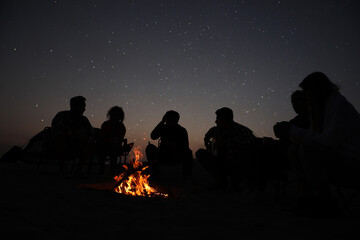 Group of friends gathering around bonfire in evening. Camping season