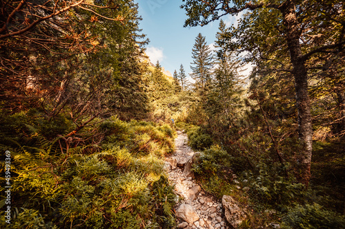 Hiking the Great Cold Valley/ velka studena dolina/ to Zbojnicka cottage and teryho cottage through priecne saddle. High Tatras National park , Slovakia. photo