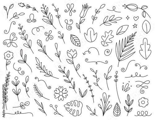 Doodle Flowers and Leaves Collection