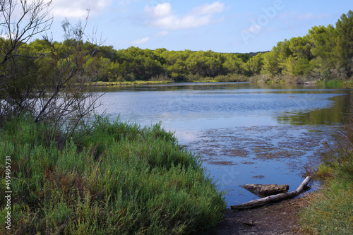 Réserve naturelle s'Albufera des Grau