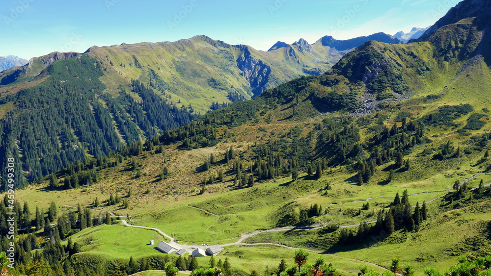 malerischer Blick auf  schönes Wandergebiet mit Wiesen, Bäumen und blauem Himmel im Vorarlberg