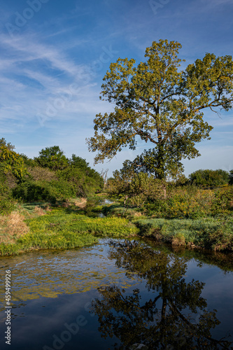 655-65 Prairie Creek, Late Summer © Hank Erdmann