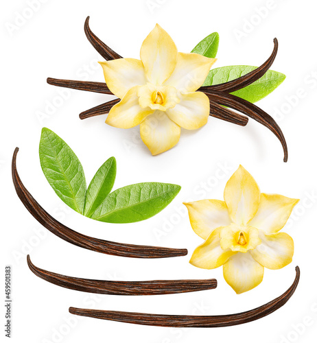 Vanilla pods and orchid flower isolated on white background. Vanilla sticks set closeup.