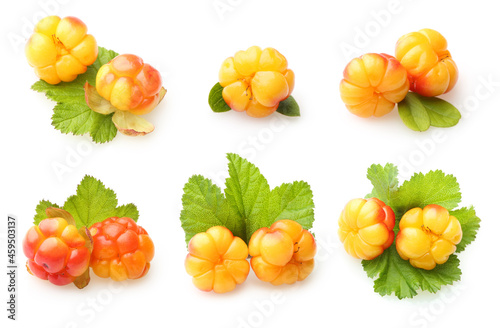 Close-up cloudberry set on white background. Perfect forest berry isolated.