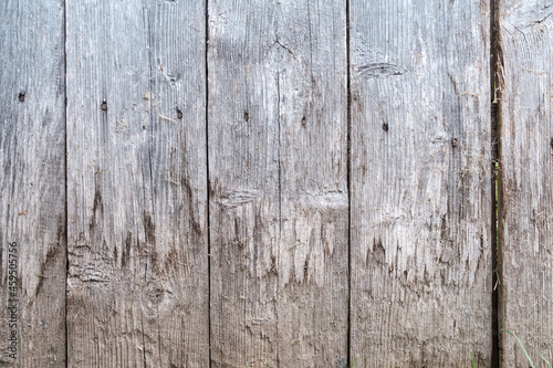 Wooden background from dry boards. Copy space. Wall of an old barn. Close-up.