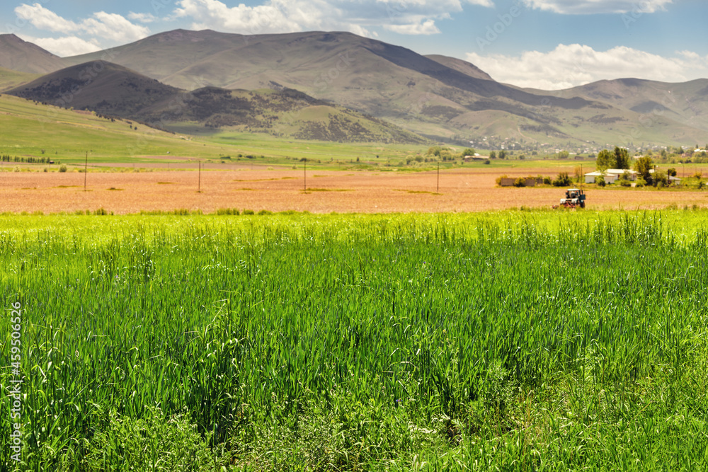 panoramic spring view of an agricultural field with working tractor on a farm against the background of a mountain range