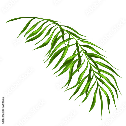 Stylized illustration of palm branch. Image for design or decoration. © incomible