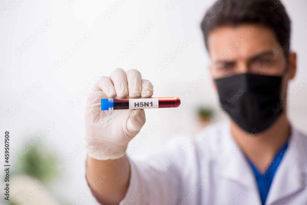 Young male biochemist testing blood samples Young male biochemist testing blood samples