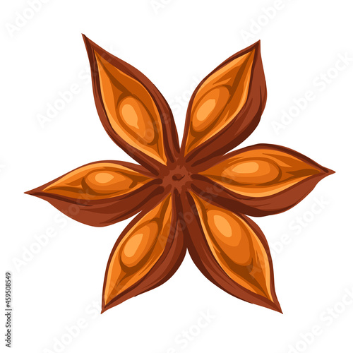 Stylized illustration of star anise. Image for design or decoration.