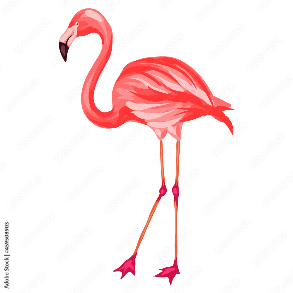 Fototapeta Stylized illustration of flamingo. Image for design or decoration.