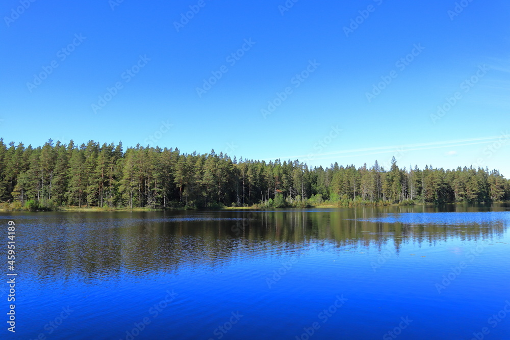 Tiveden National Park. Beautiful view over a small Swedish lake. Clear fresh nature, untouched. Forest in the background. Sweden, Scandinavia, Europe.