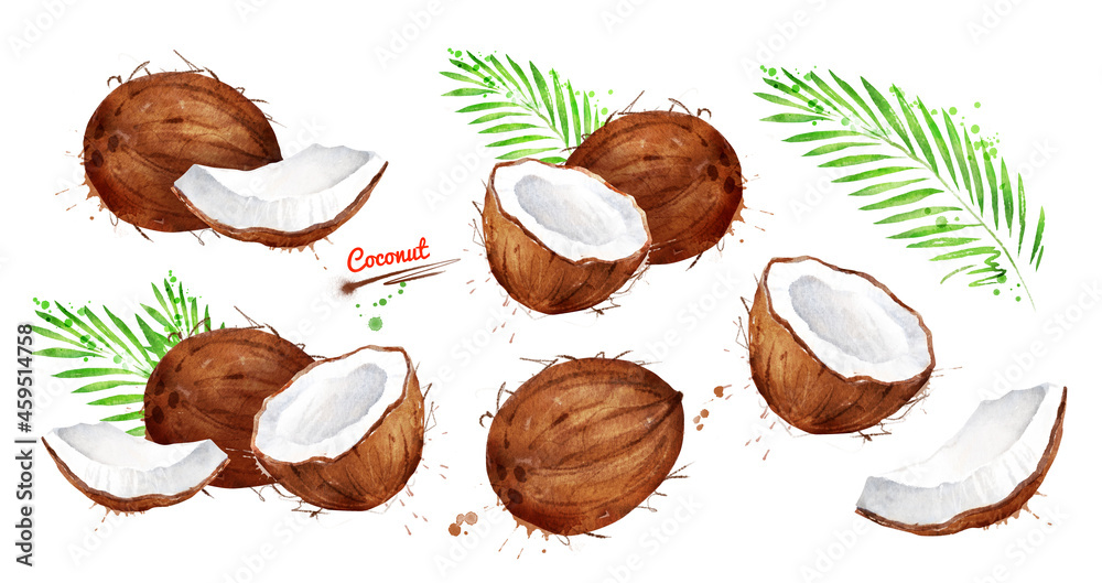 Watercolor illustration set of coconut - obrazy, fototapety, plakaty 
