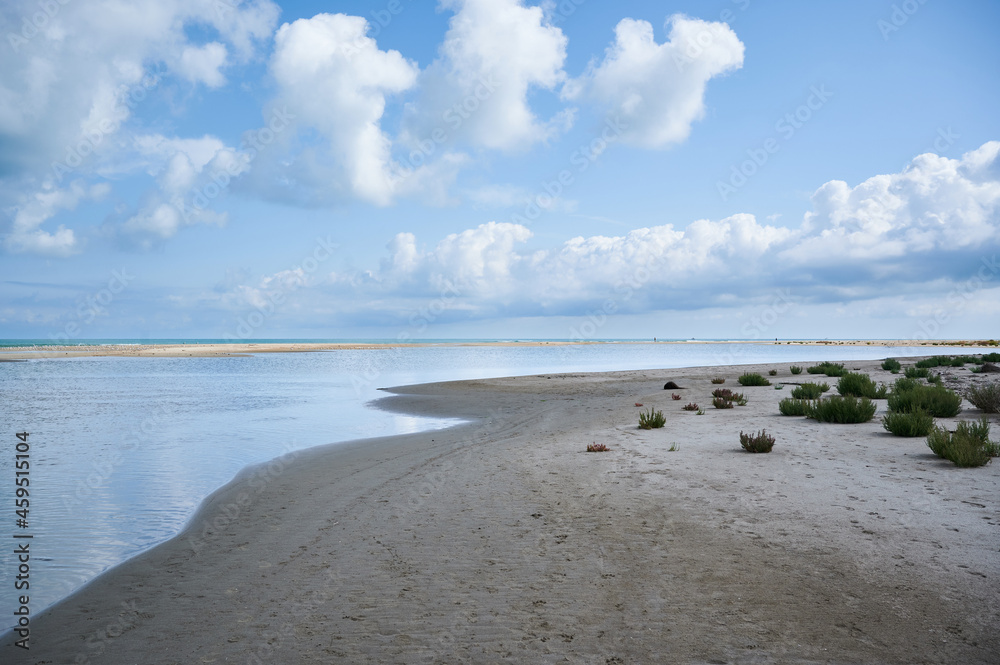 Natural and wild beach with slightly cloudy skies Natural and wild beach with slightly cloudy skies