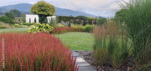 Ogród pełen traw i pięknego widoku gór w tle. Trawa red baron jako piękne tło w malowniczym ogrodzie z osdobną trawą i zadbanym trawnikiem