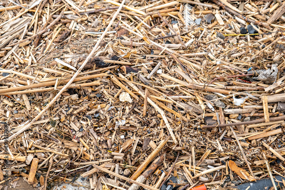 texture of hay