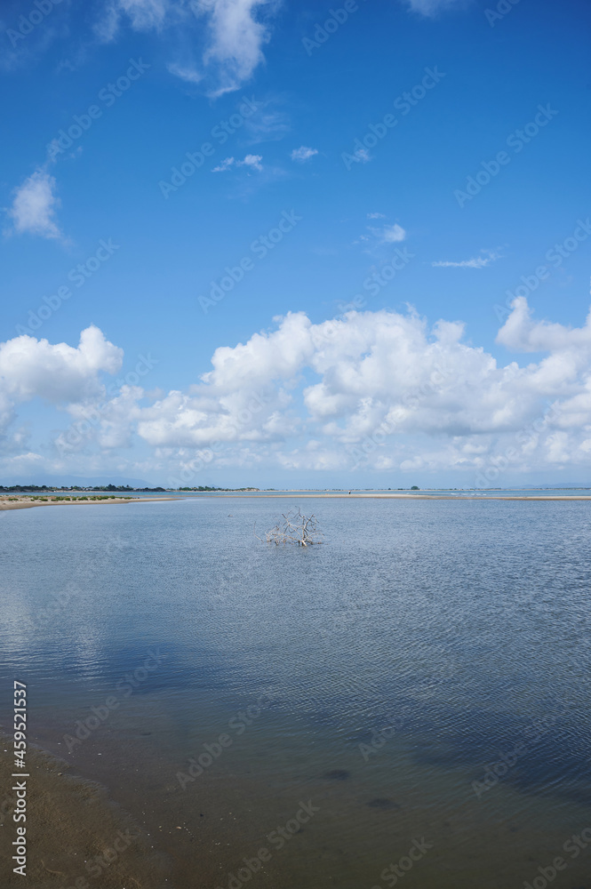 Vertical shot of natural and wild beach