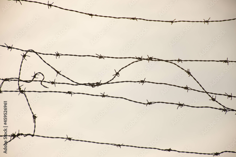 Barbed wire fence to protect and defend a private area. Barbed wire fence to protect and defend a private area.