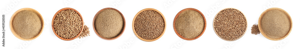 Set with coriander seeds and powder on white background, top view. Banner design Set with coriander seeds and powder on white background, top view. Banner design