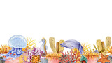 Coral reef seamles border. Watercolor illustration. Jellyfish, corals, seahorse in beautiful underwater sea creature seamles border. Hand drawn colorful aquatic sealife decor. White background