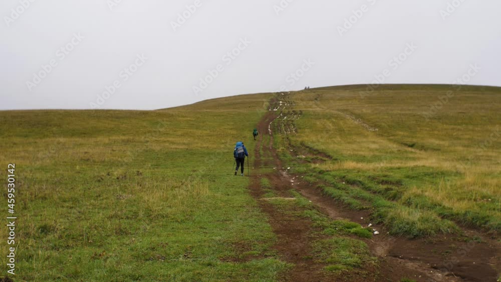 Hikers with backpacks climb a hill covered with grass. People walk along the dirt road. In the background is a gray cloudy sky. The concept of hiking Hikers with backpacks climb a hill covered with grass. People walk along the dirt road. In the background is a gray cloudy sky. The concept of hiking