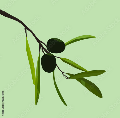 Two olives on a branch. Twig with green foliage. Bright image in flat style. Design for cards, posters, backgrounds, templates, textiles, symbols, menus.