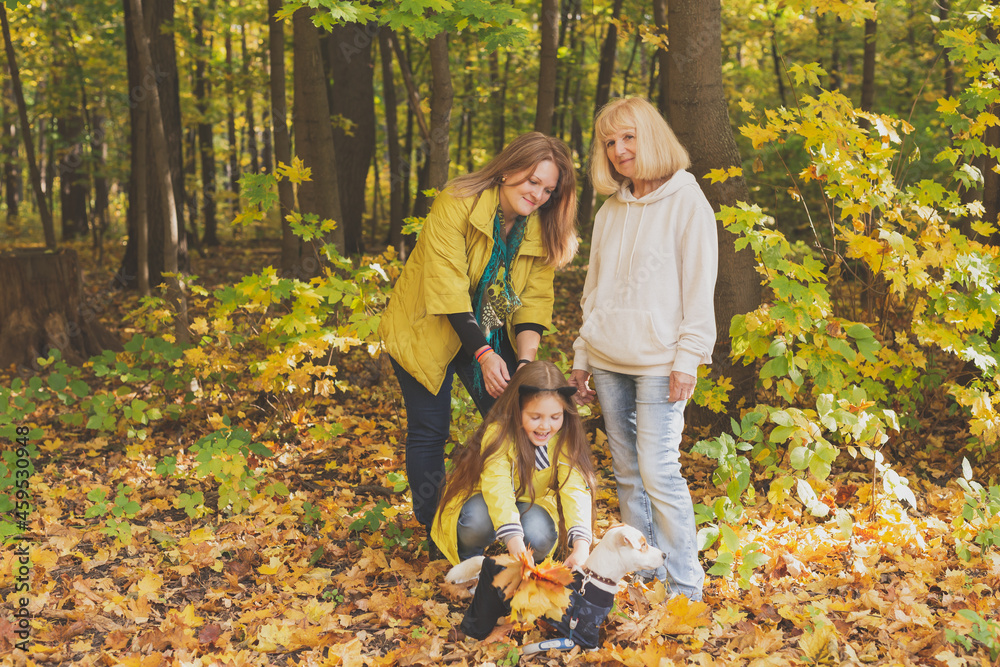 Portrait of three generations of happy beautiful woman and dog in autumn nature. Portrait of three generations of happy beautiful woman and dog in autumn nature.