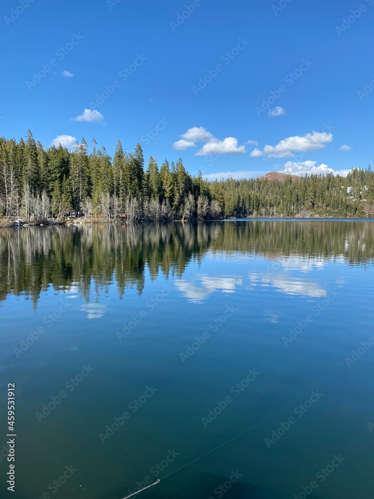 lake and forest lake and forest
