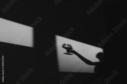 Cuadro en lienzo Shadow on the wall of a female sommelier with a glass of wine