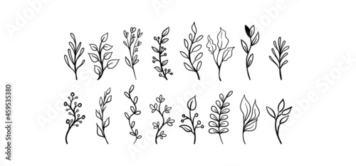 Hand drawn floral elements  laurels  leaves  flowers and branches . Wild and free. For invitations  greeting cards  Wedding Frames  posters. Nature ornaments.