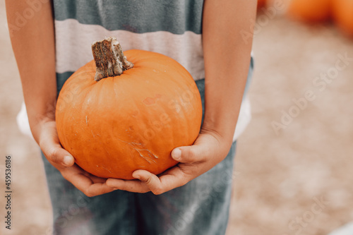 pumpkin patch Looking for a local, pumpkin patch, corn maze, hayride, gourds and other Halloween activities in Florida