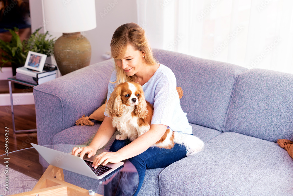 Middle aged businesswoman sitting on the sofa and using her laptop