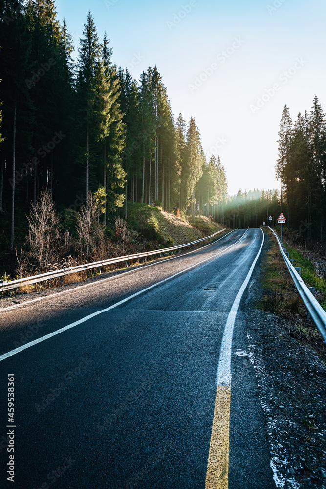 Obraz premium Empty road with pine trees at sunset
