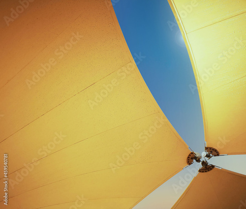 quien a buena sombra se arrima...